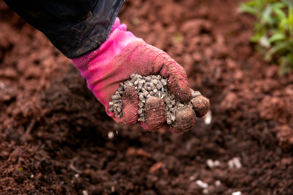 The Ultimate Beginner's Guide to Composting at Home