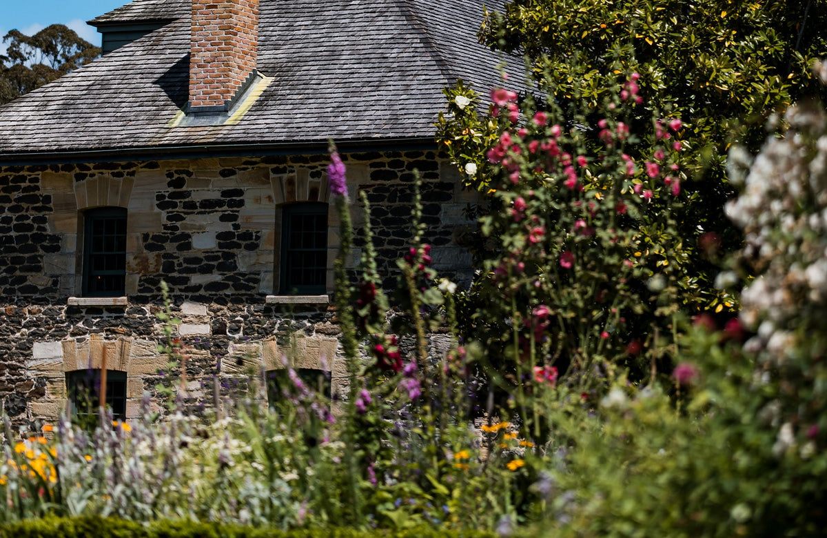 How to Create a Cottage Garden